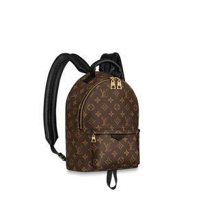 Louis Vuitton Backpacks for Women 